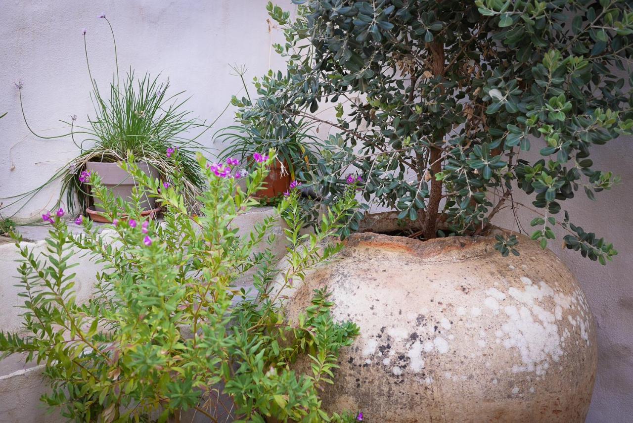 La Pileta - Grupo Califa Vejer de la Frontera Exterior foto